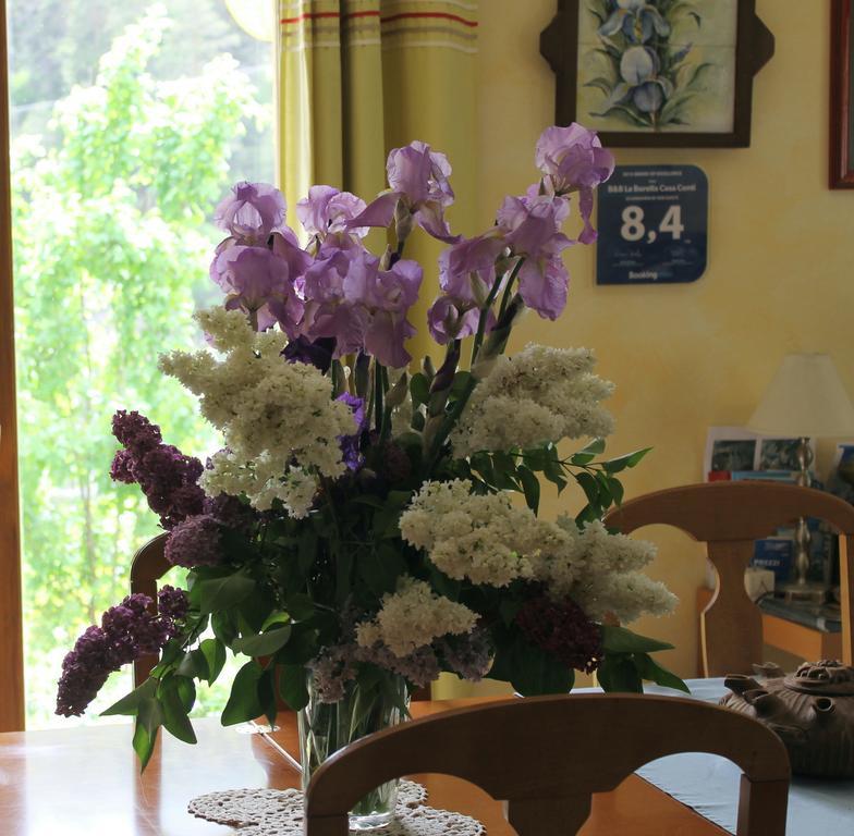 B&B La Borella Casa Conti Vallouise Dış mekan fotoğraf