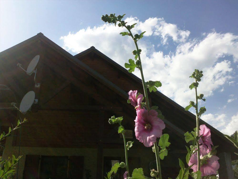 B&B La Borella Casa Conti Vallouise Dış mekan fotoğraf